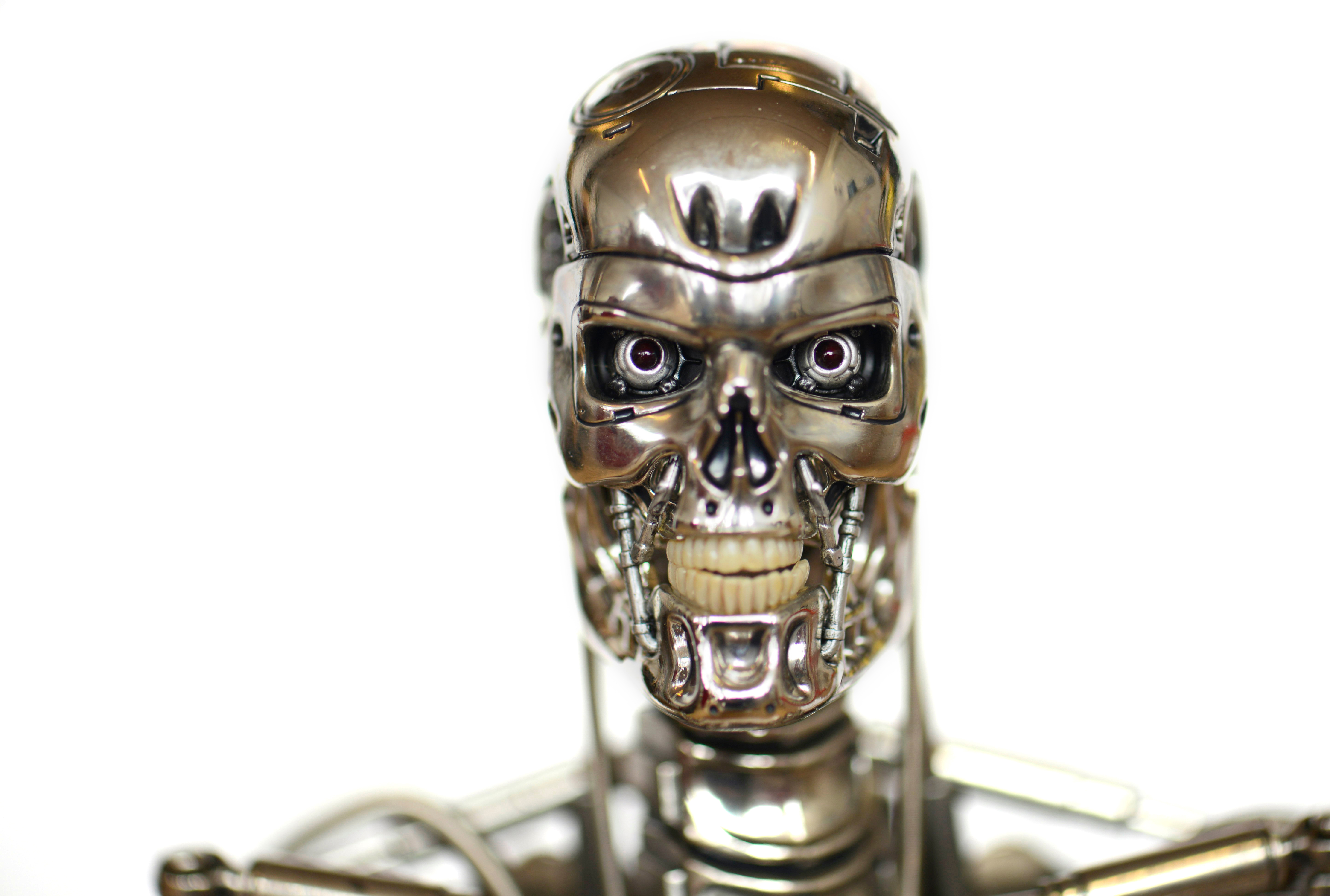 Terminator's Artificial Intelligence